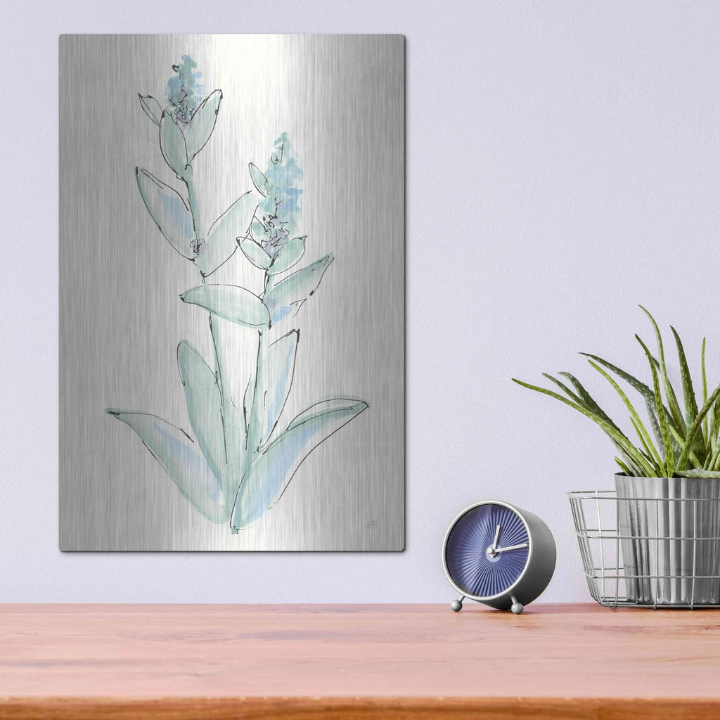 'Lambs Ear Sage IV' by Chris Paschke – Metal Wall Art, 12x16 room view