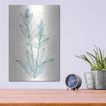 'Lambs Ear Sage IV' by Chris Paschke – Metal Wall Art, 12x16 room view