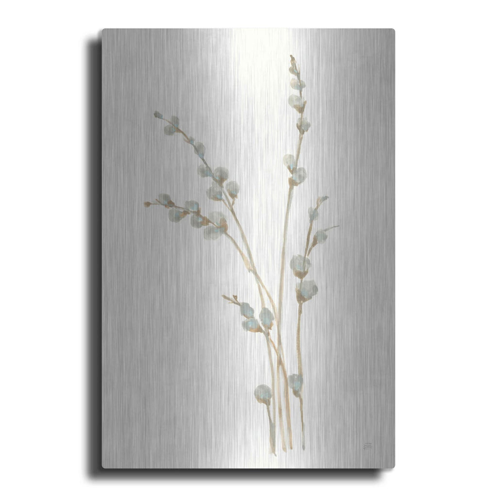 'Pussy Willows I' by Chris Paschke – Metal Wall Art