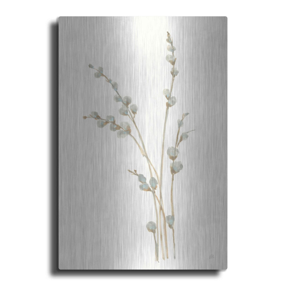 'Pussy Willows I' by Chris Paschke – Metal Wall Art