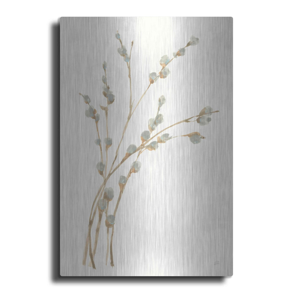 'Pussy Willows II' by Chris Paschke – Metal Wall Art