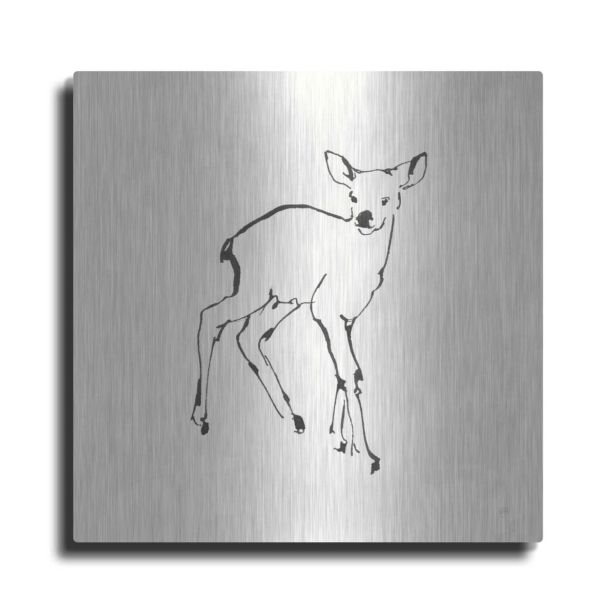 'Line Fawn' by Chris Paschke – Metal Wall Art