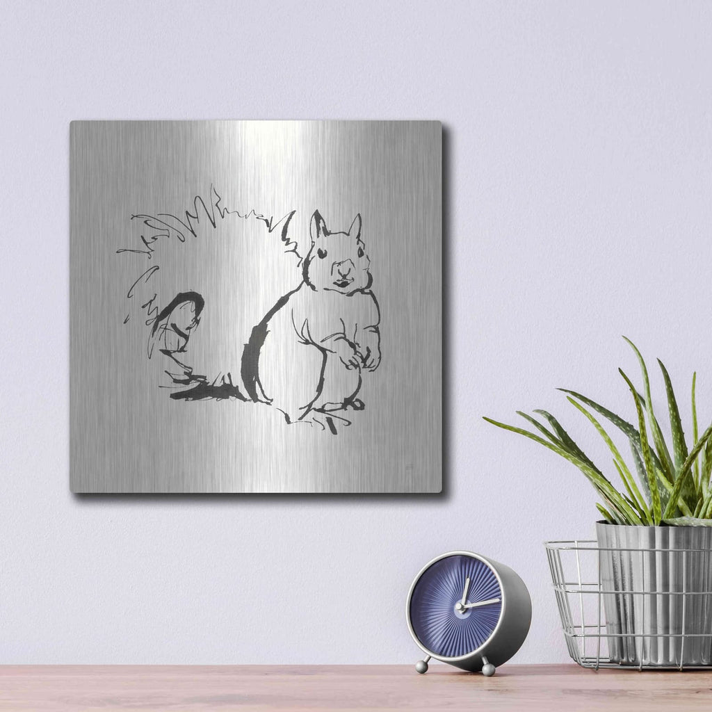 'Line Squirrel' by Chris Paschke – Metal Wall Art, 12x12 room view