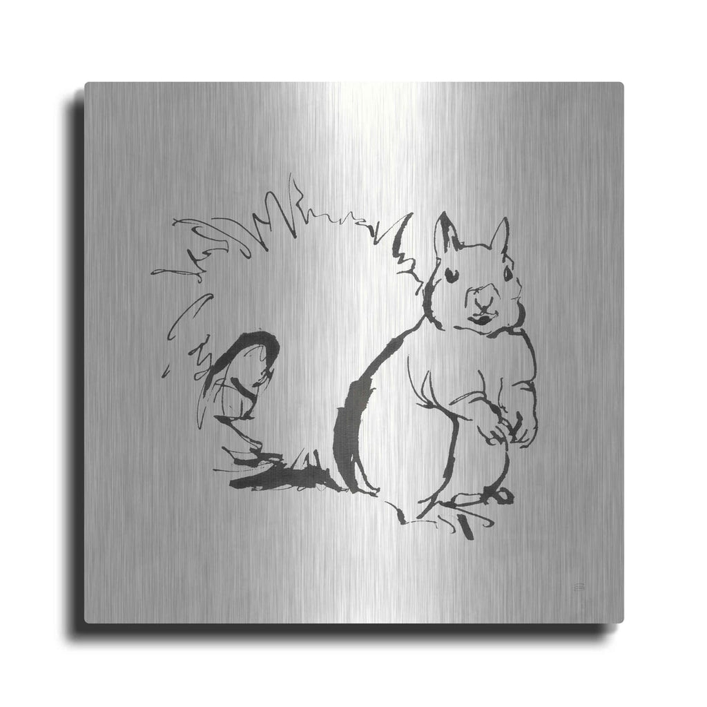 'Line Squirrel' by Chris Paschke – Metal Wall Art