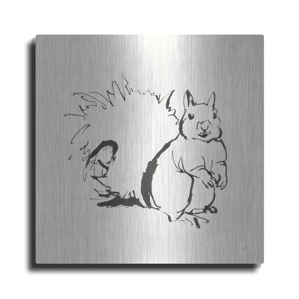 'Line Squirrel' by Chris Paschke – Metal Wall Art
