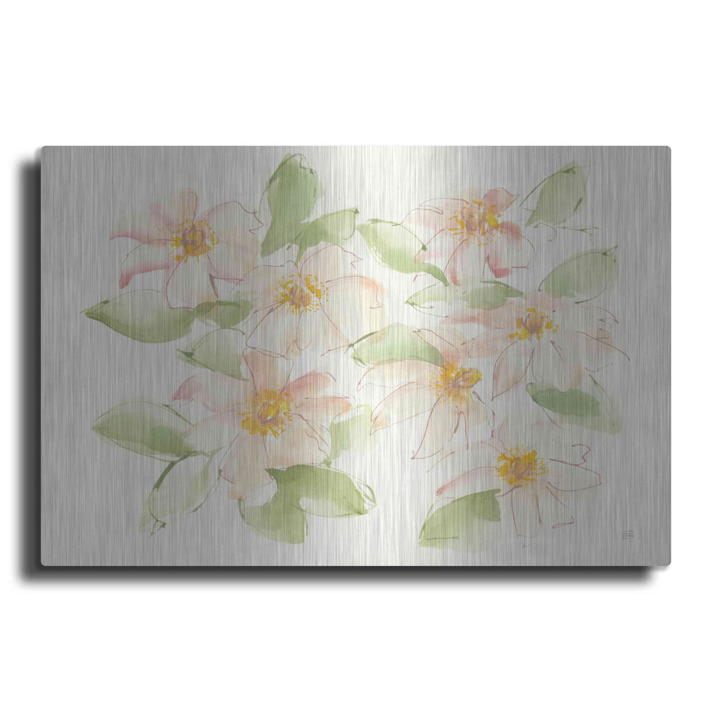 'Creme Clematis' by Chris Paschke – Metal Wall Art
