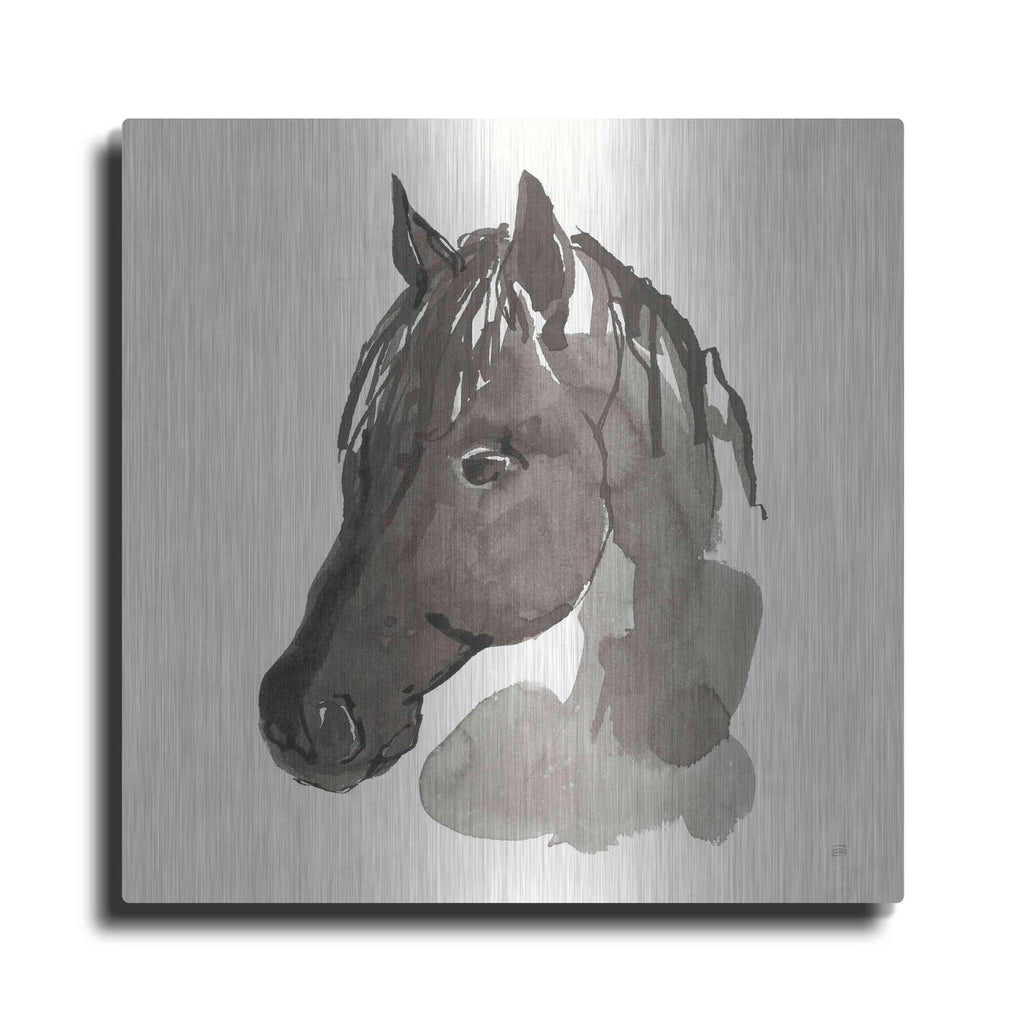 'Horse Portrait II' by Chris Paschke – Metal Wall Art