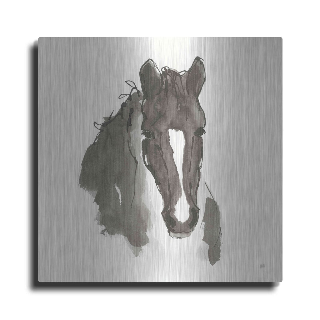 'Horse Portrait III' by Chris Paschke – Metal Wall Art