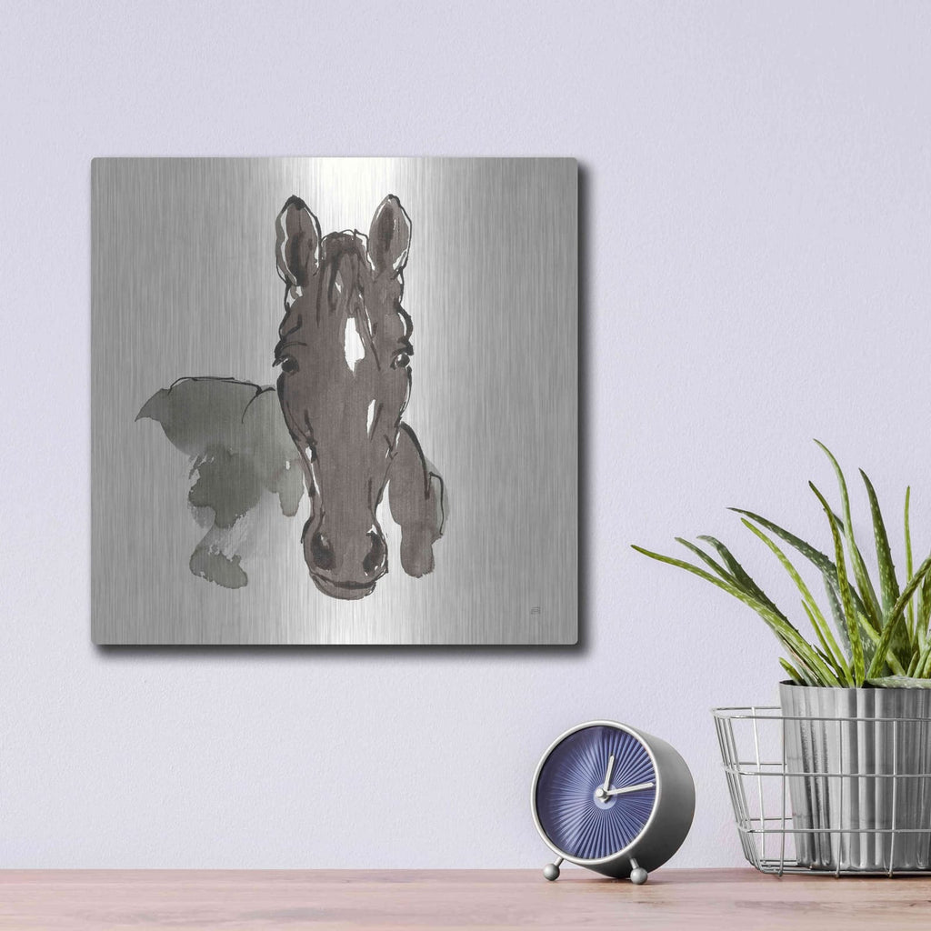 'Horse Portrait IV' by Chris Paschke – Metal Wall Art, 12x12 room view