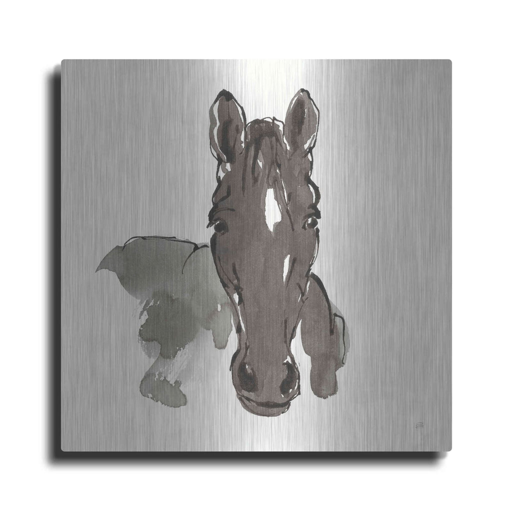 'Horse Portrait IV' by Chris Paschke – Metal Wall Art