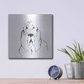 'Line Dog Bloodhound II' by Chris Paschke – Metal Wall Art, 12x12 room view