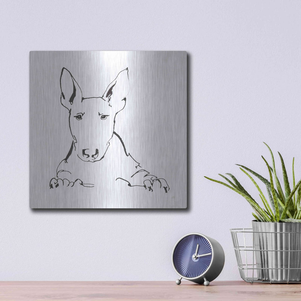 'Line Dog Bull Terrier' by Chris Paschke – Metal Wall Art, 12x12 room view