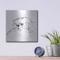 'Line Dog Pekingese' by Chris Paschke – Metal Wall Art, 12x12 room view