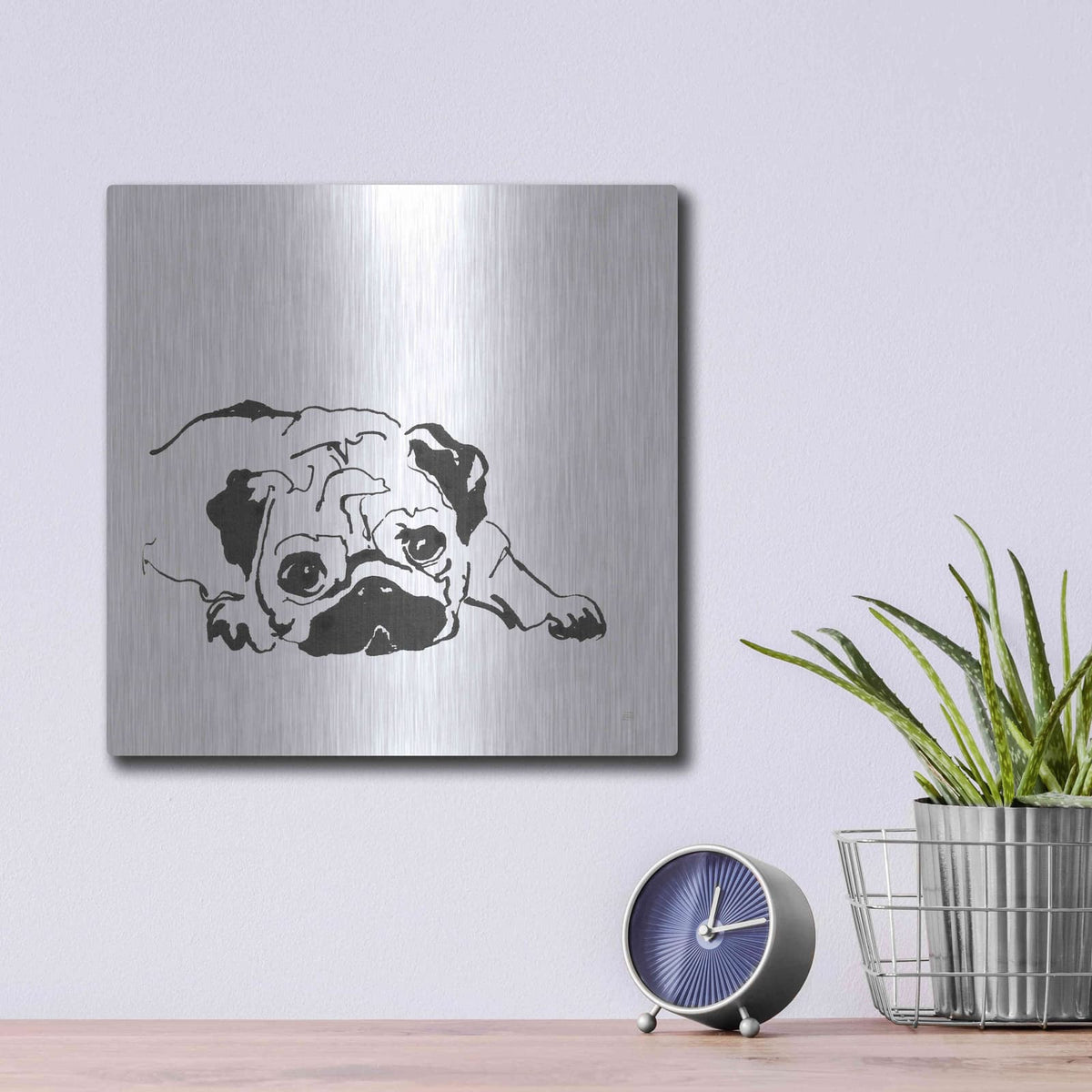 'Line Dog Pug II' by Chris Paschke – Metal Wall Art, 12x12 room view