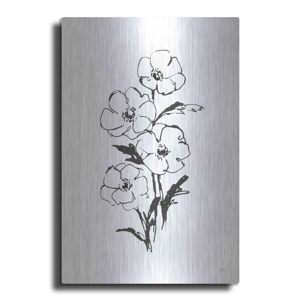 'Line Anemone I' by Chris Paschke – Metal Wall Art