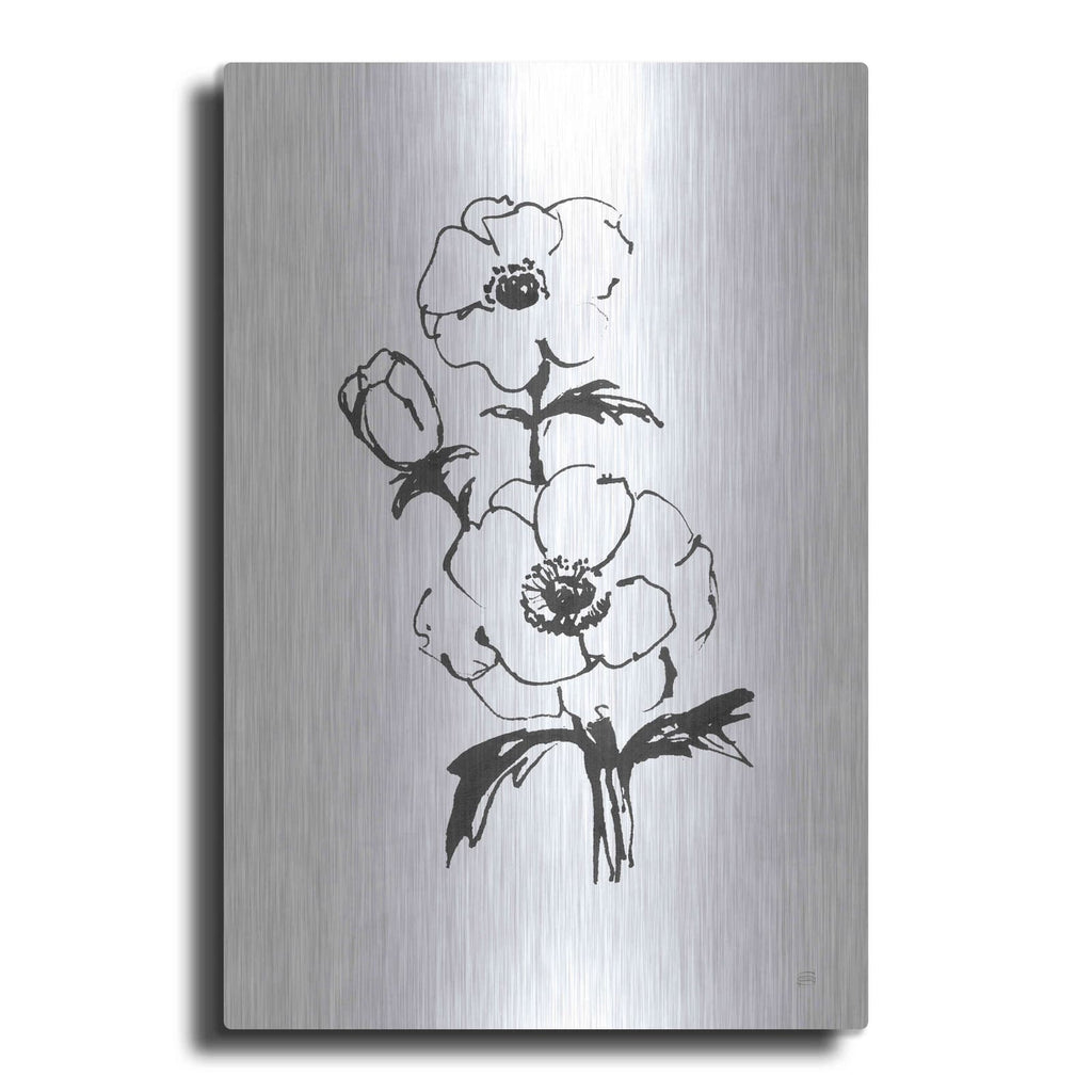 'Line Anemone II' by Chris Paschke – Metal Wall Art