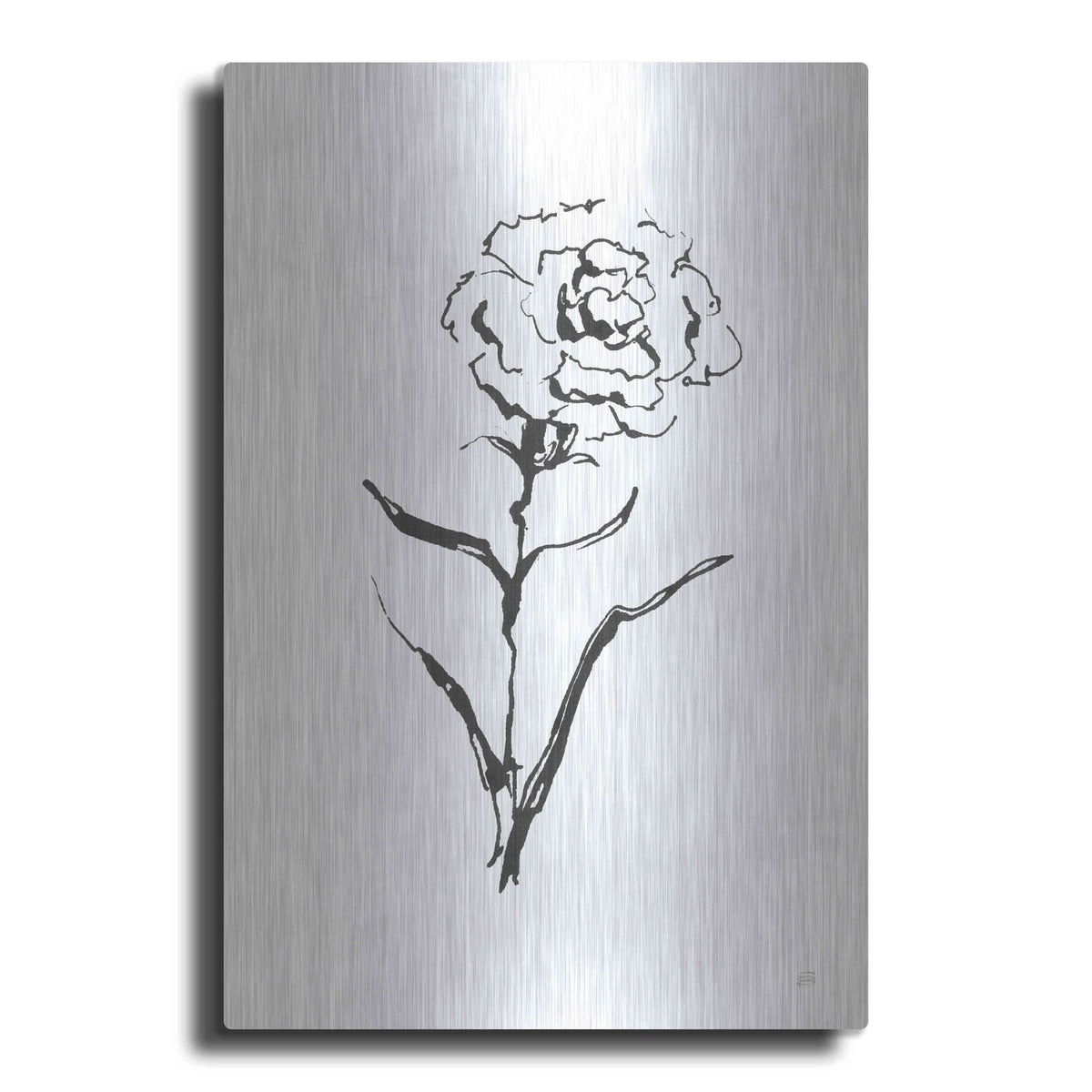 'Line Carnation I' by Chris Paschke – Metal Wall Art