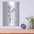 'Line Carnation II' by Chris Paschke – Metal Wall Art, 12x16 room view