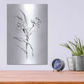 'Line Daffodil' by Chris Paschke – Metal Wall Art, 12x16 room view
