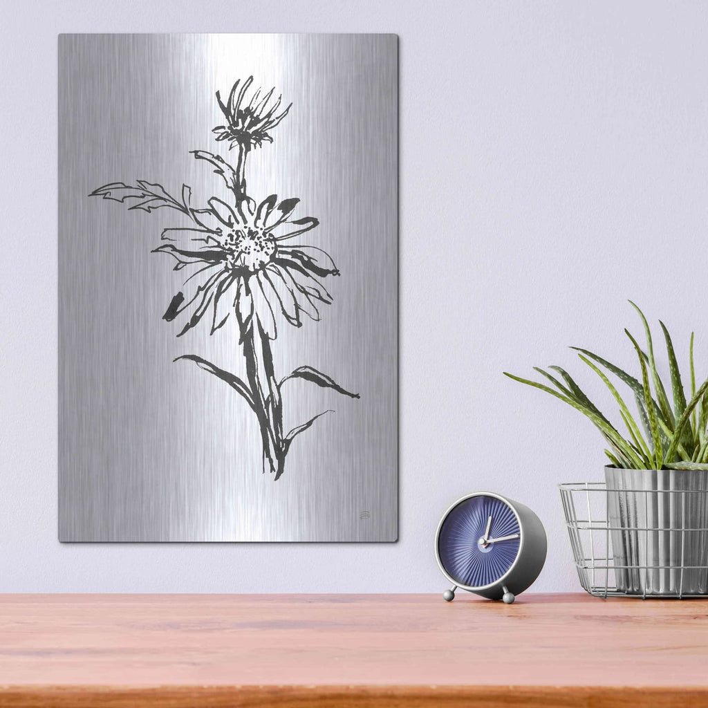 'Line Echinacea I' by Chris Paschke – Metal Wall Art, 12x16 room view