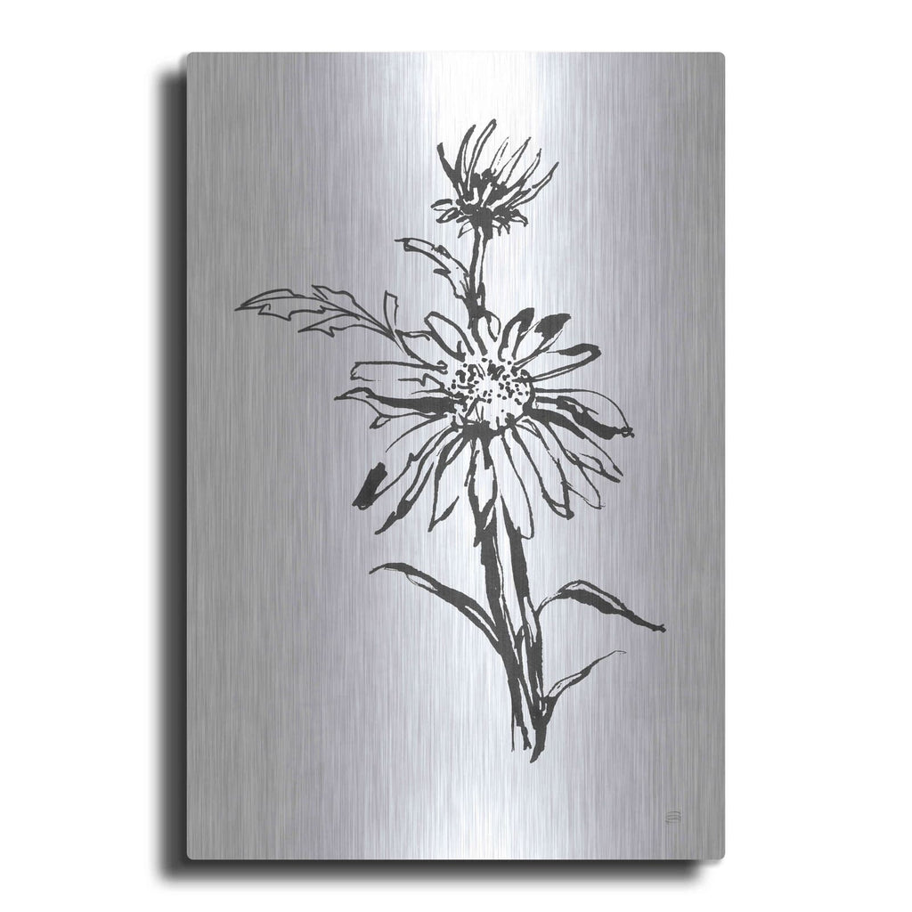 'Line Echinacea I' by Chris Paschke – Metal Wall Art