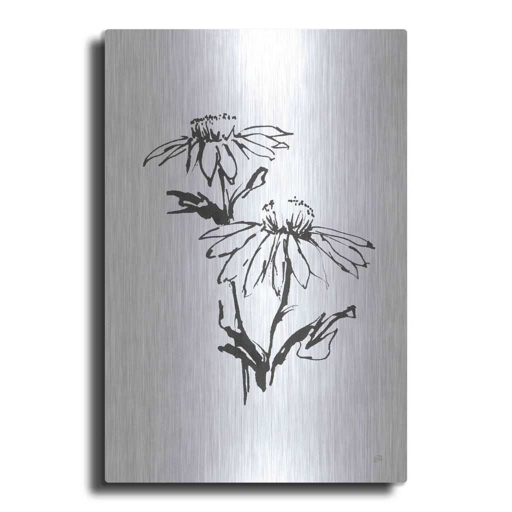 'Line Echinacea II' by Chris Paschke – Metal Wall Art