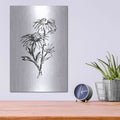 'Line Echinacea III' by Chris Paschke – Metal Wall Art, 12x16 room view