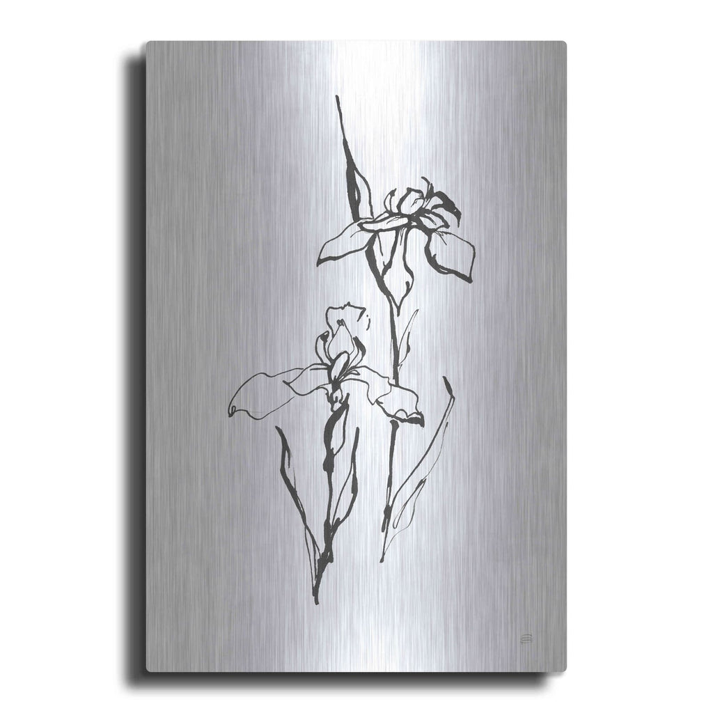 'Line Iris II' by Chris Paschke – Metal Wall Art