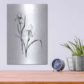 'Line Iris III' by Chris Paschke – Metal Wall Art, 12x16 room view