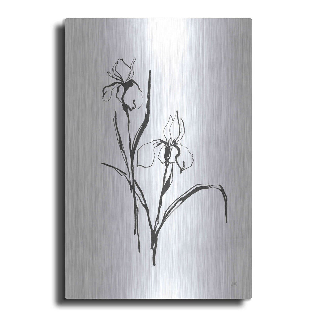 'Line Iris III' by Chris Paschke – Metal Wall Art