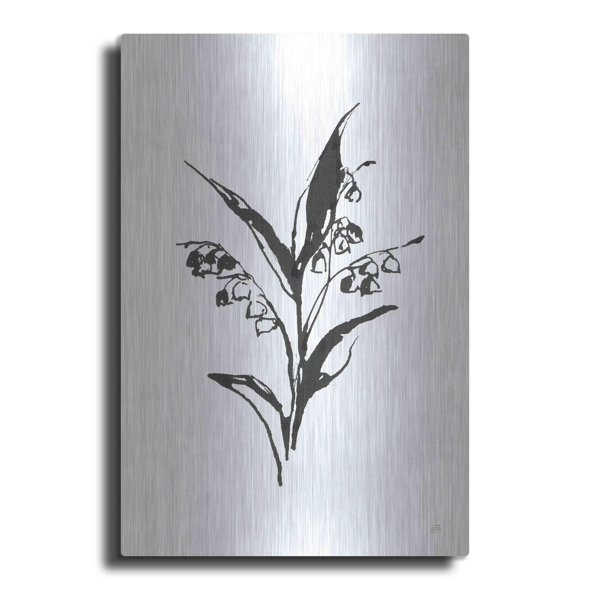 'Line Lily of the Valley I' by Chris Paschke – Metal Wall Art