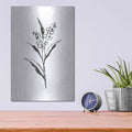 'Line Lily of the Valley II' by Chris Paschke – Metal Wall Art, 12x16 room view