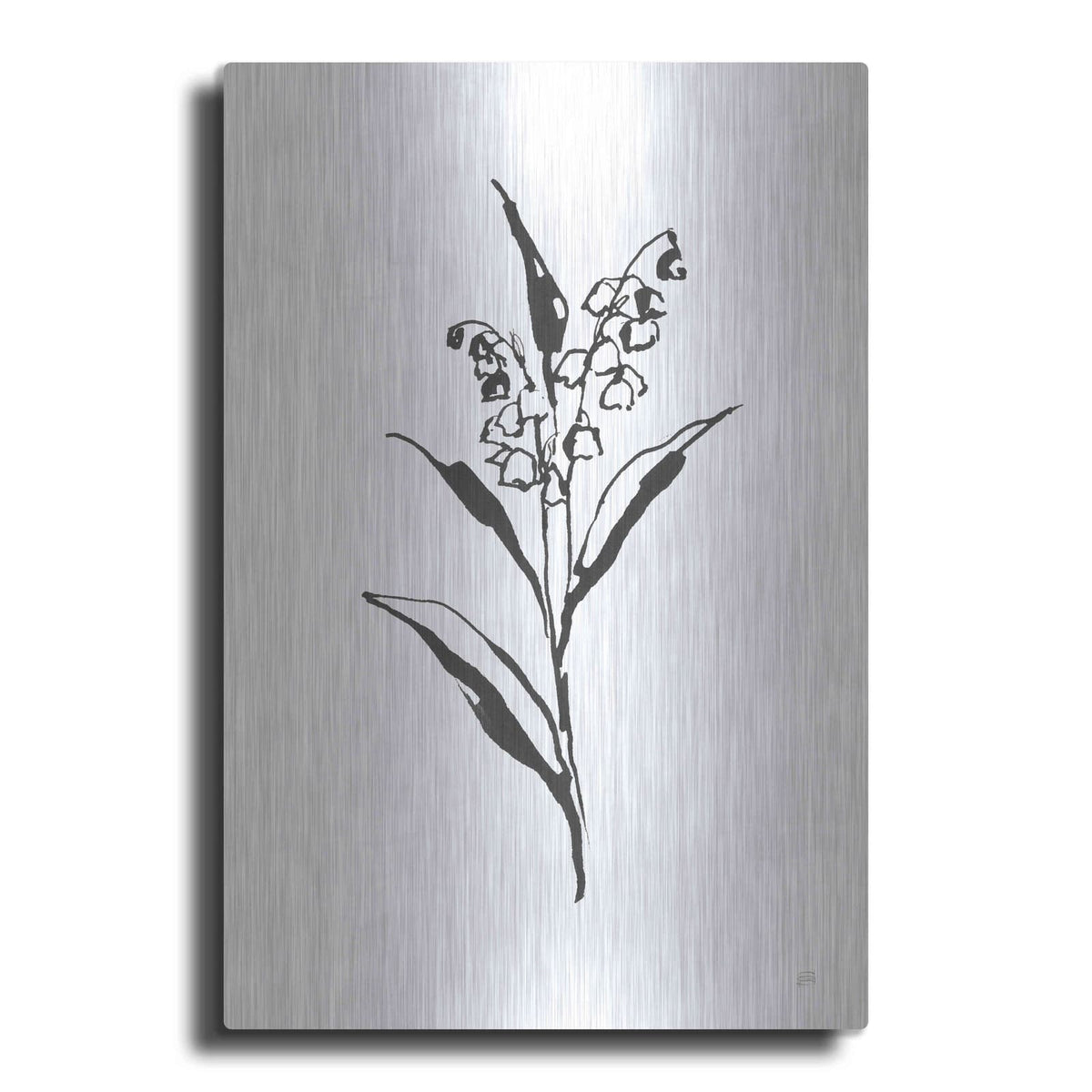 'Line Lily of the Valley II' by Chris Paschke – Metal Wall Art