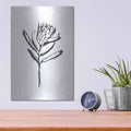 'Line Protea I' by Chris Paschke – Metal Wall Art, 12x16 room view