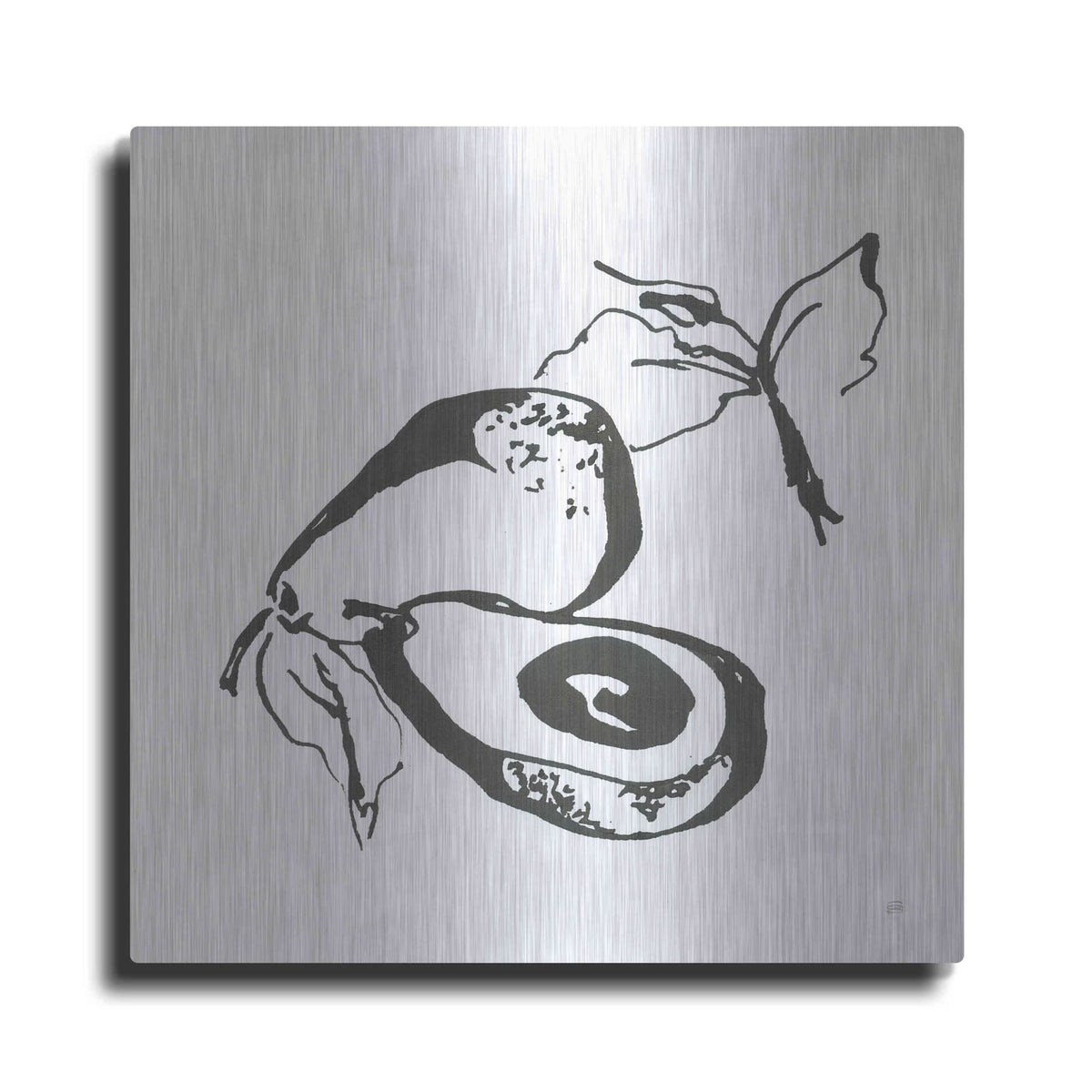 'Avacado I BW' by Chris Paschke – Metal Wall Art