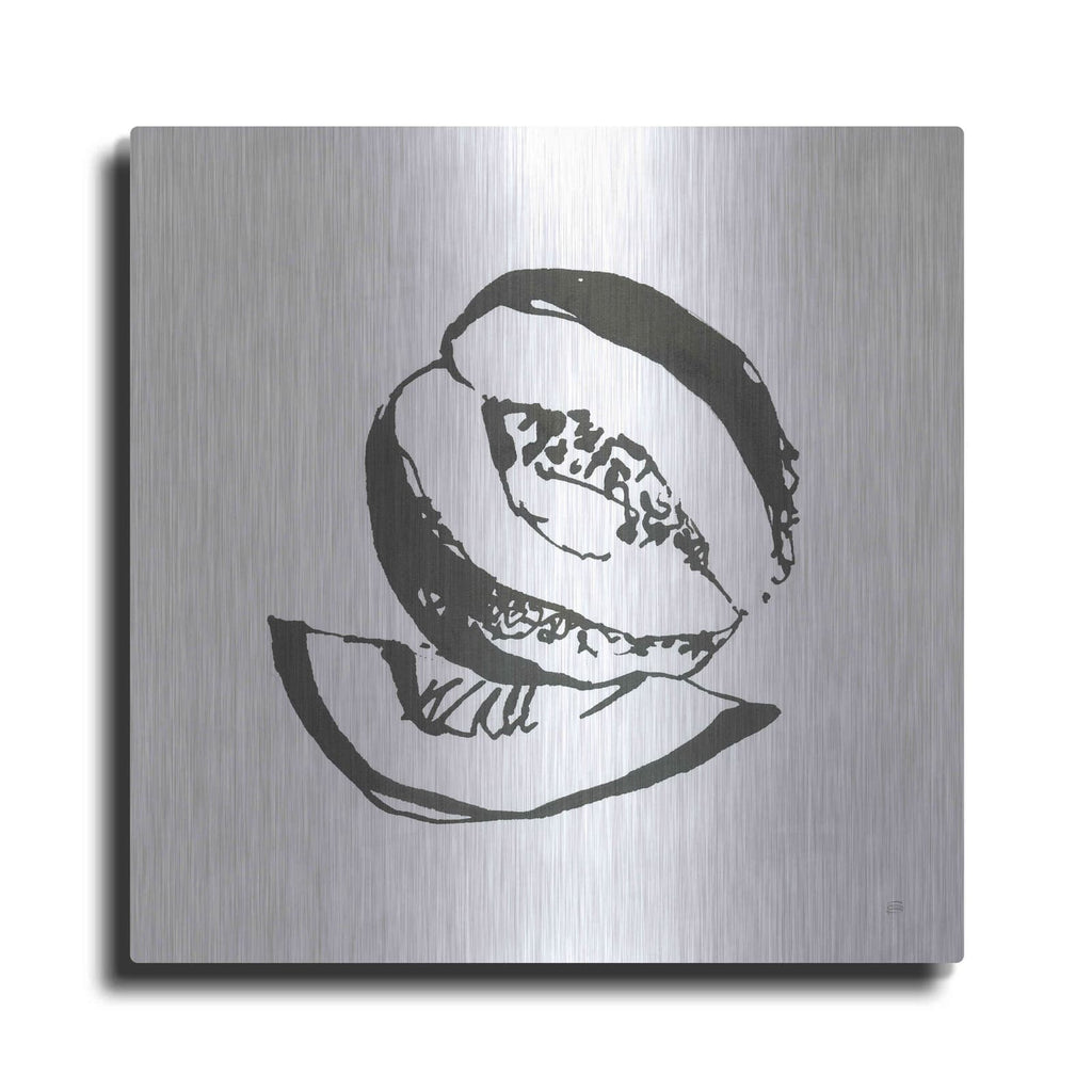 'Cantaloupe I BW' by Chris Paschke – Metal Wall Art