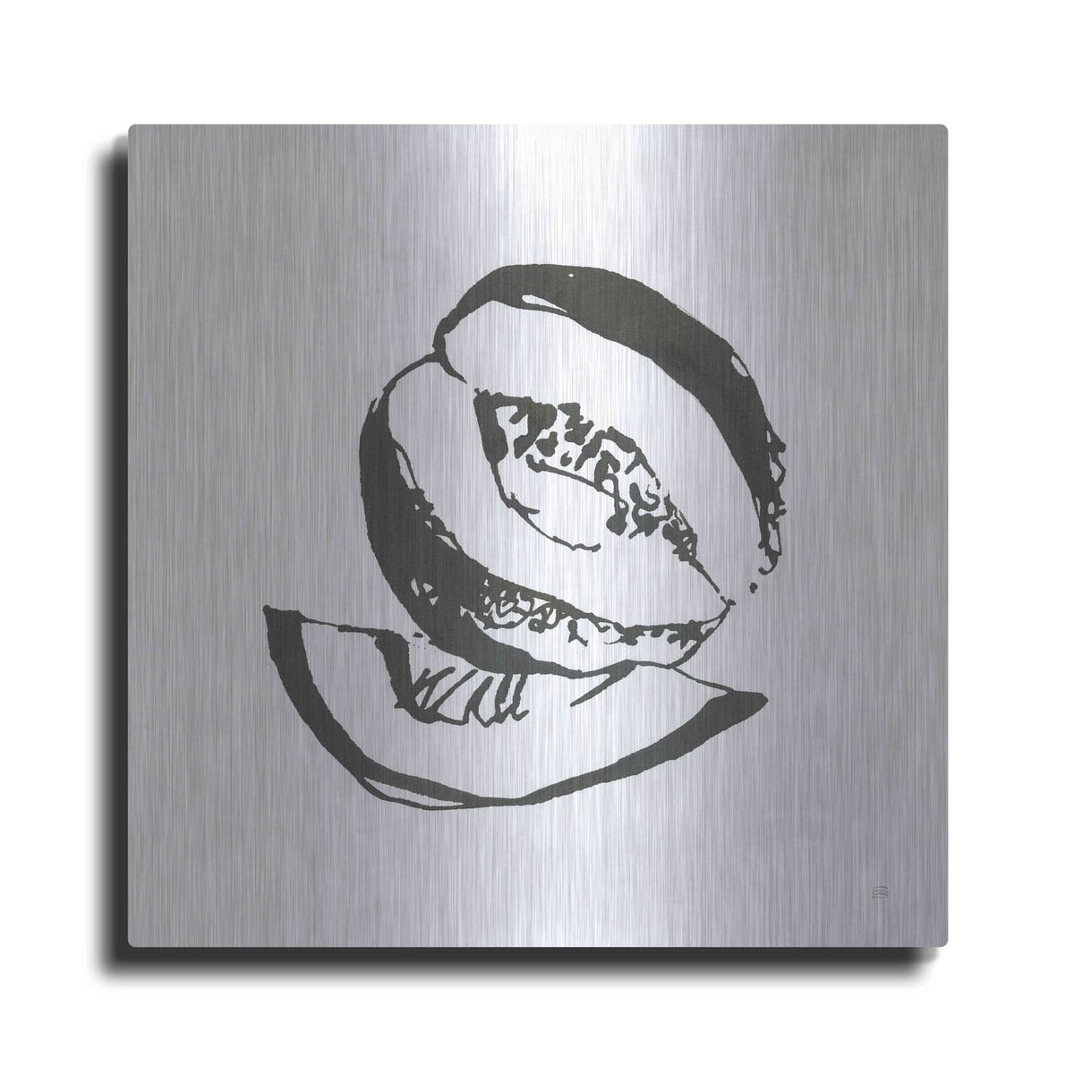 'Cantaloupe I BW' by Chris Paschke – Metal Wall Art