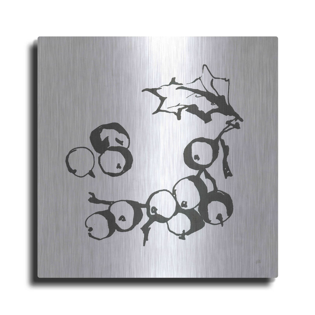 'Grapes II BW' by Chris Paschke – Metal Wall Art