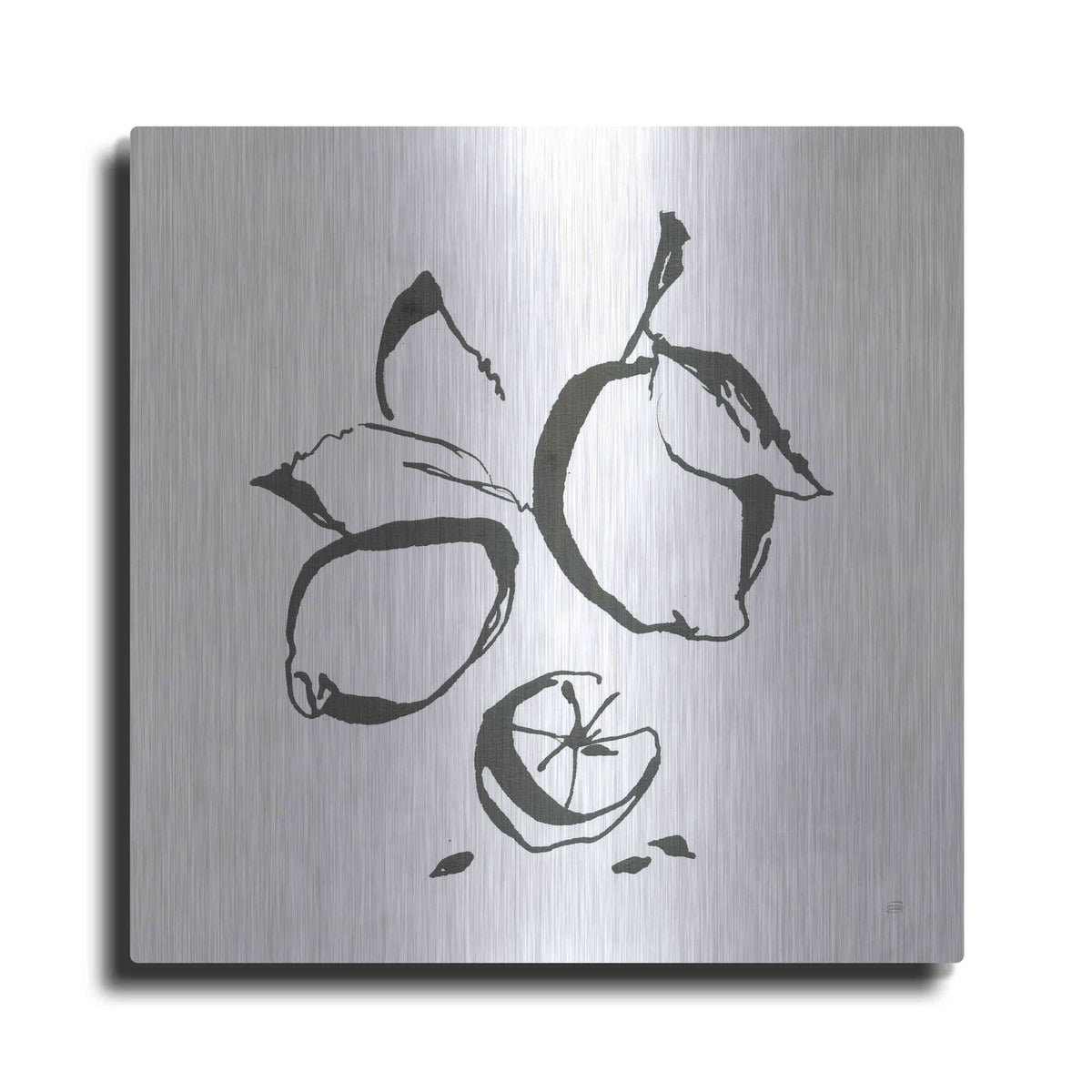 'Lemons BW' by Chris Paschke – Metal Wall Art