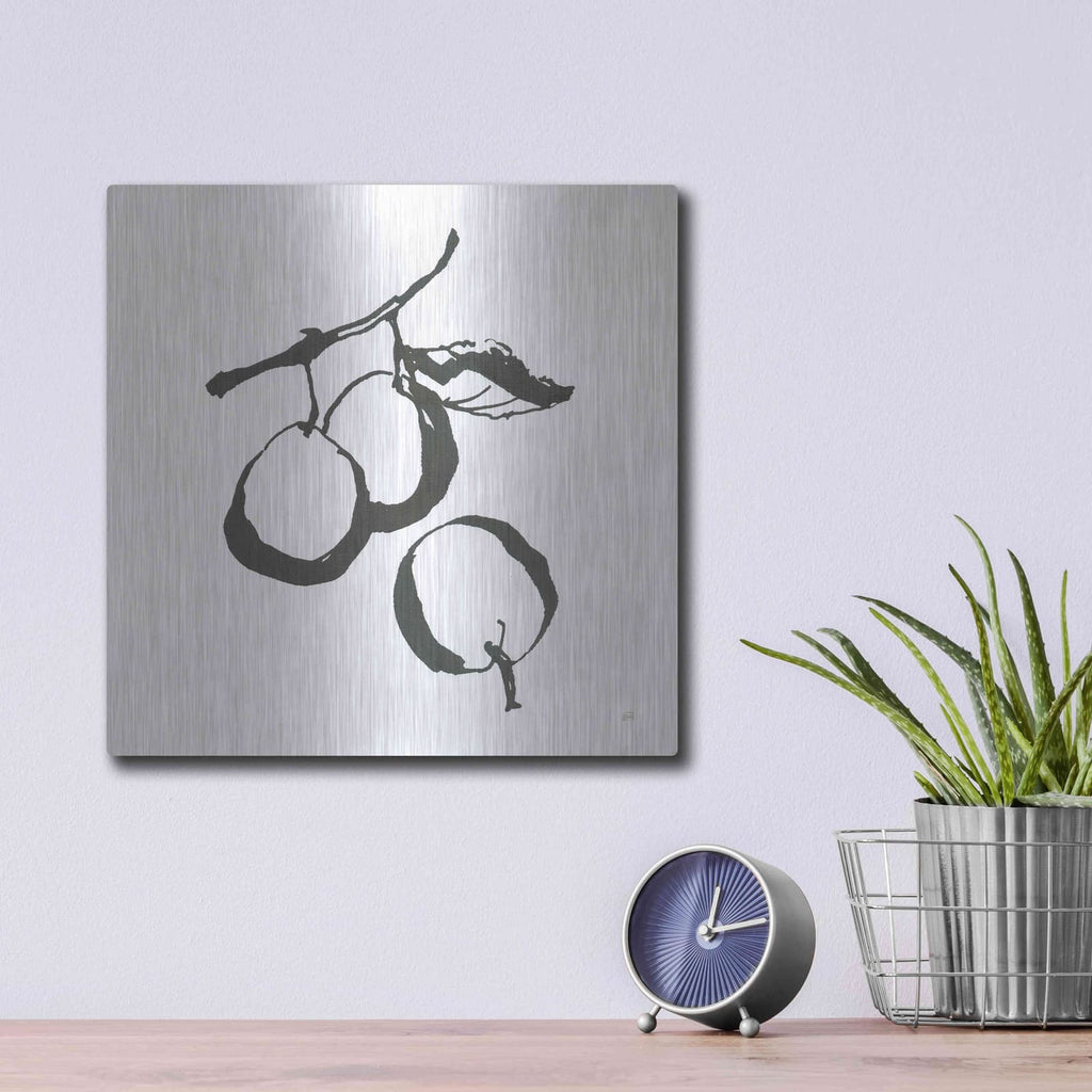 'Plums II BW' by Chris Paschke – Metal Wall Art, 12x12 room view