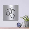 'Plums II BW' by Chris Paschke – Metal Wall Art, 12x12 room view