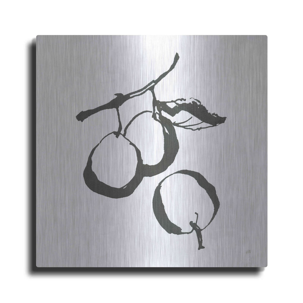 'Plums II BW' by Chris Paschke – Metal Wall Art