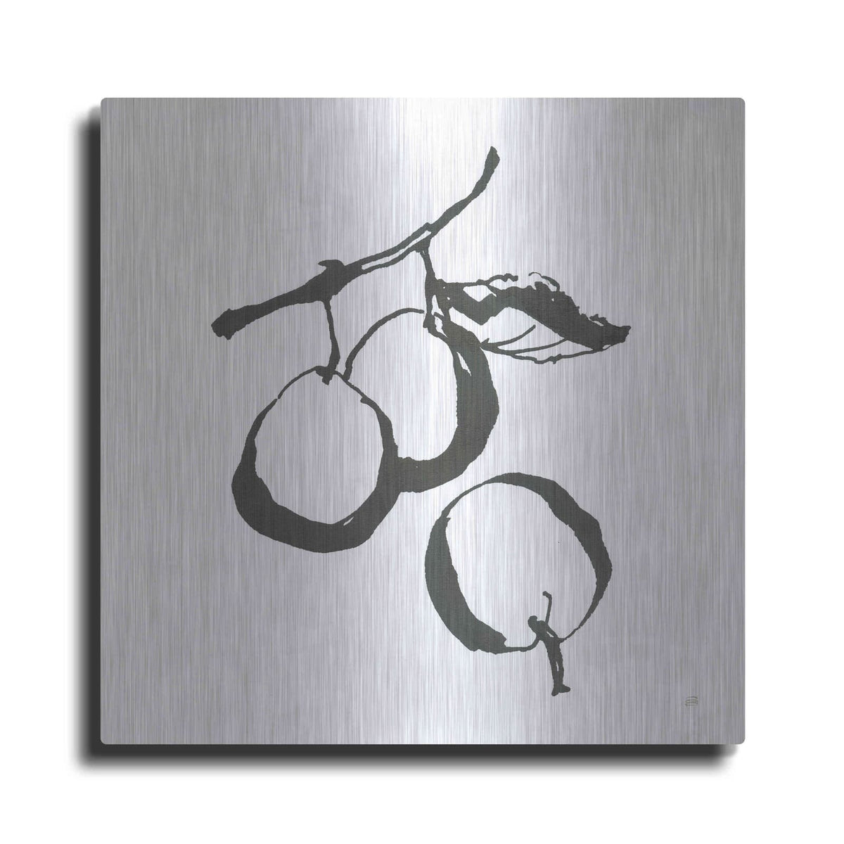 'Plums II BW' by Chris Paschke – Metal Wall Art