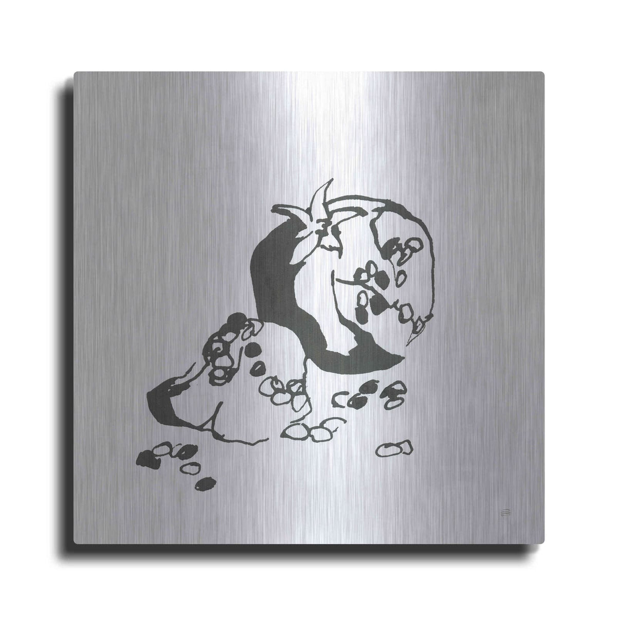 'Pomegranate I BW' by Chris Paschke – Metal Wall Art