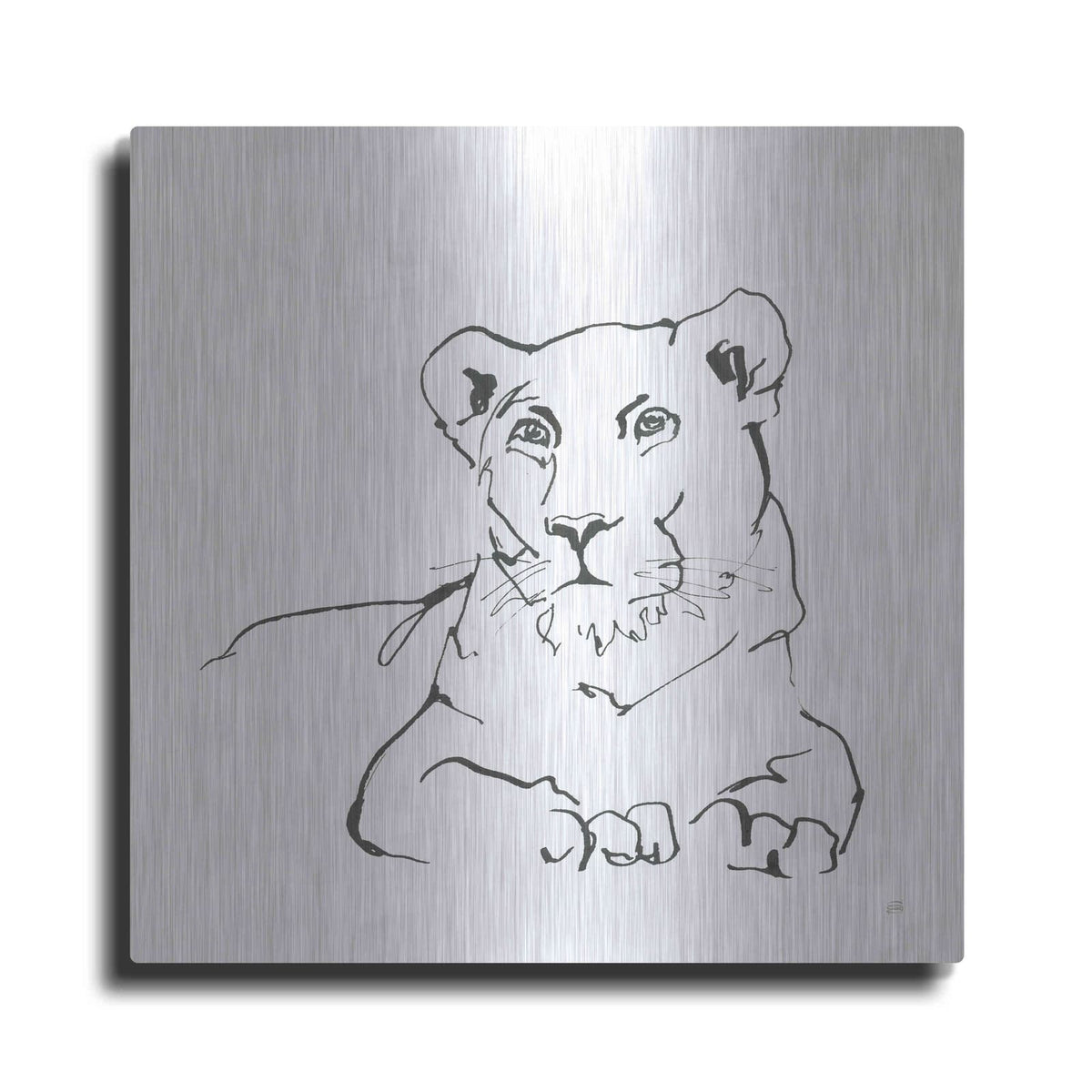 'African Animals II' by Chris Paschke – Metal Wall Art