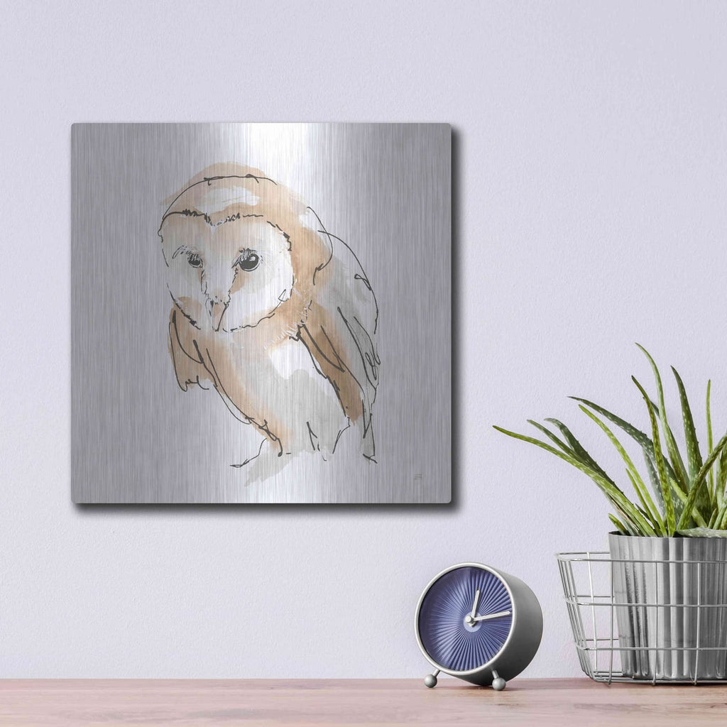 'Barn Owl I' by Chris Paschke – Metal Wall Art, 12x12 room view