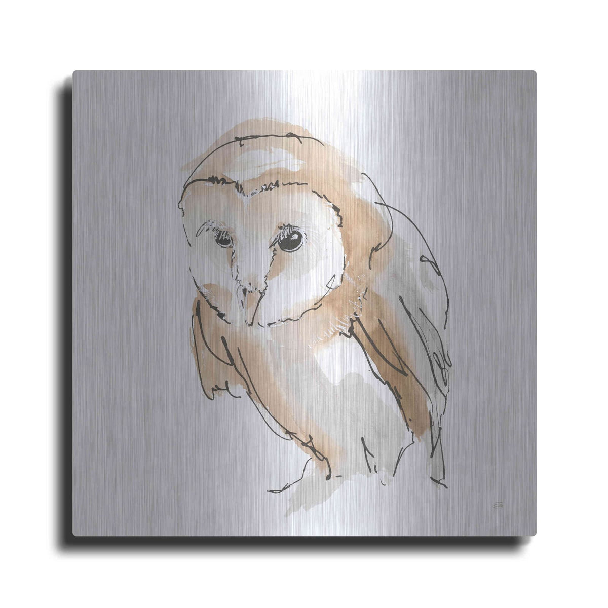 'Barn Owl I' by Chris Paschke – Metal Wall Art