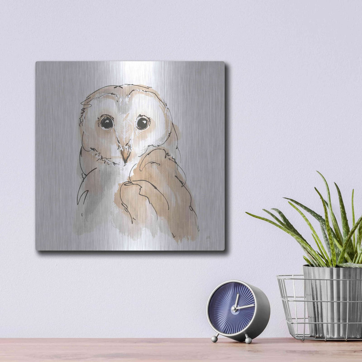 'Barn Owl II' by Chris Paschke – Metal Wall Art, 12x12 room view