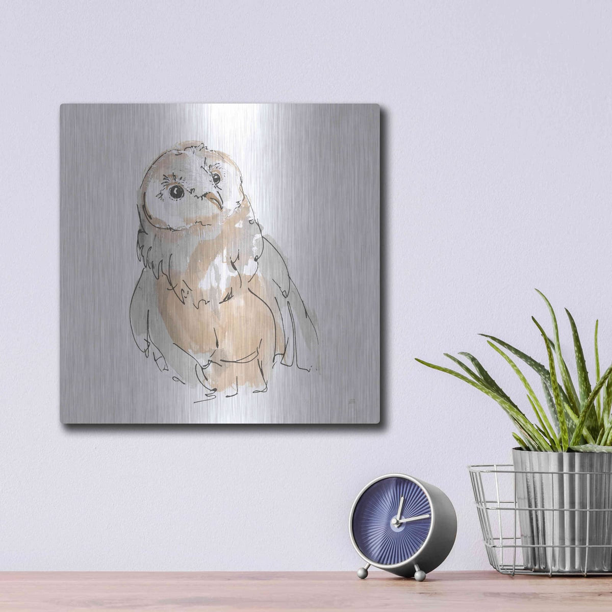 'Barn Owl V' by Chris Paschke – Metal Wall Art, 12x12 room view