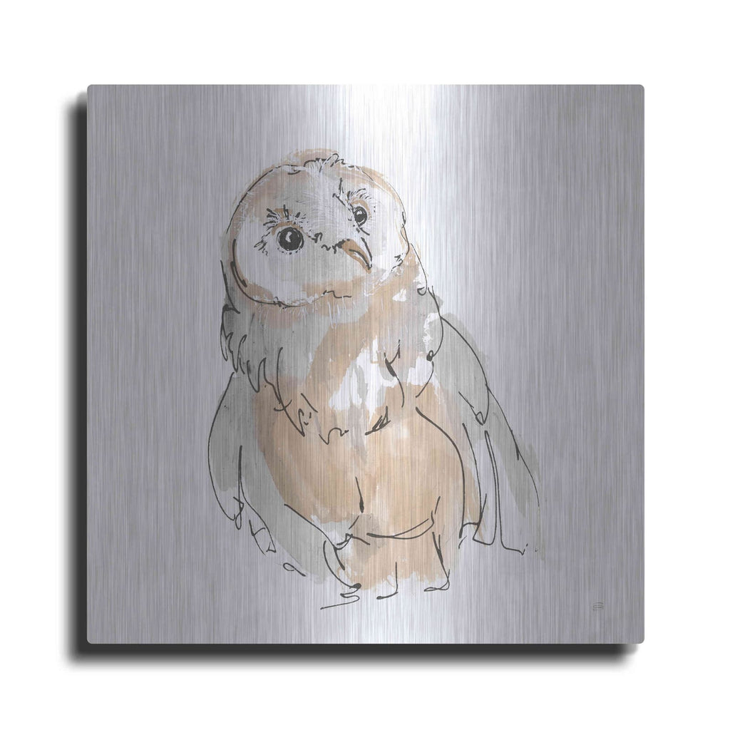 'Barn Owl V' by Chris Paschke – Metal Wall Art